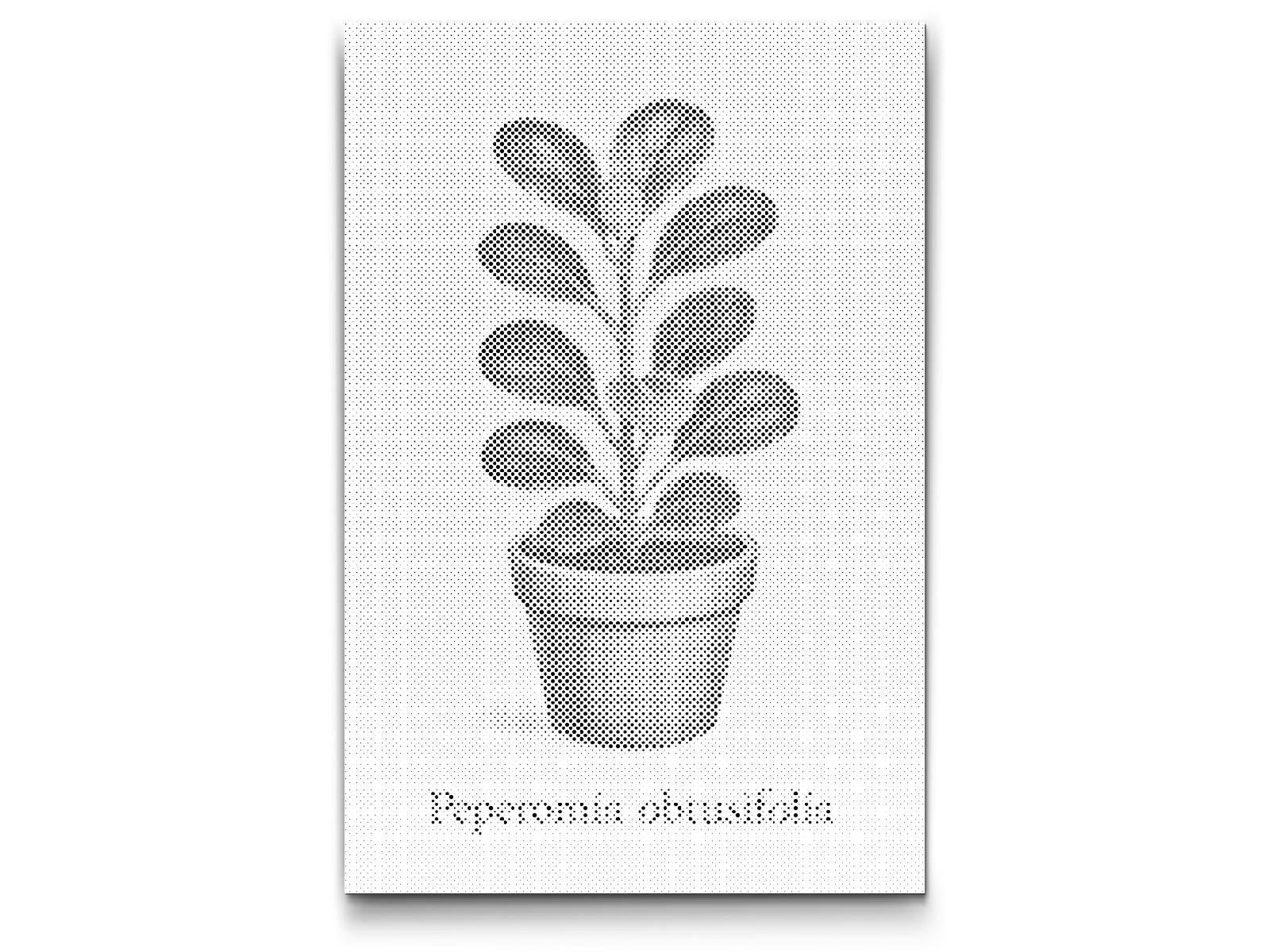 Dotting - Babygummiplante