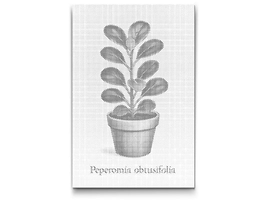 Dotting - Babygummiplante