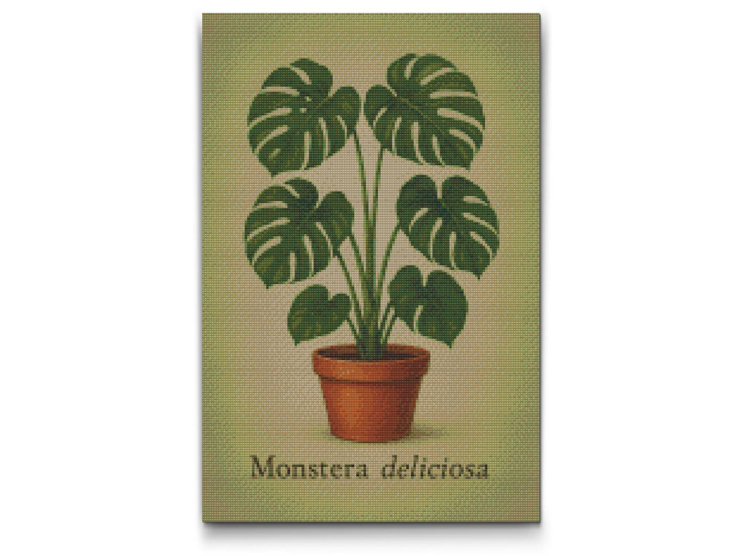 Diamond Paint - Monstera deliciosa