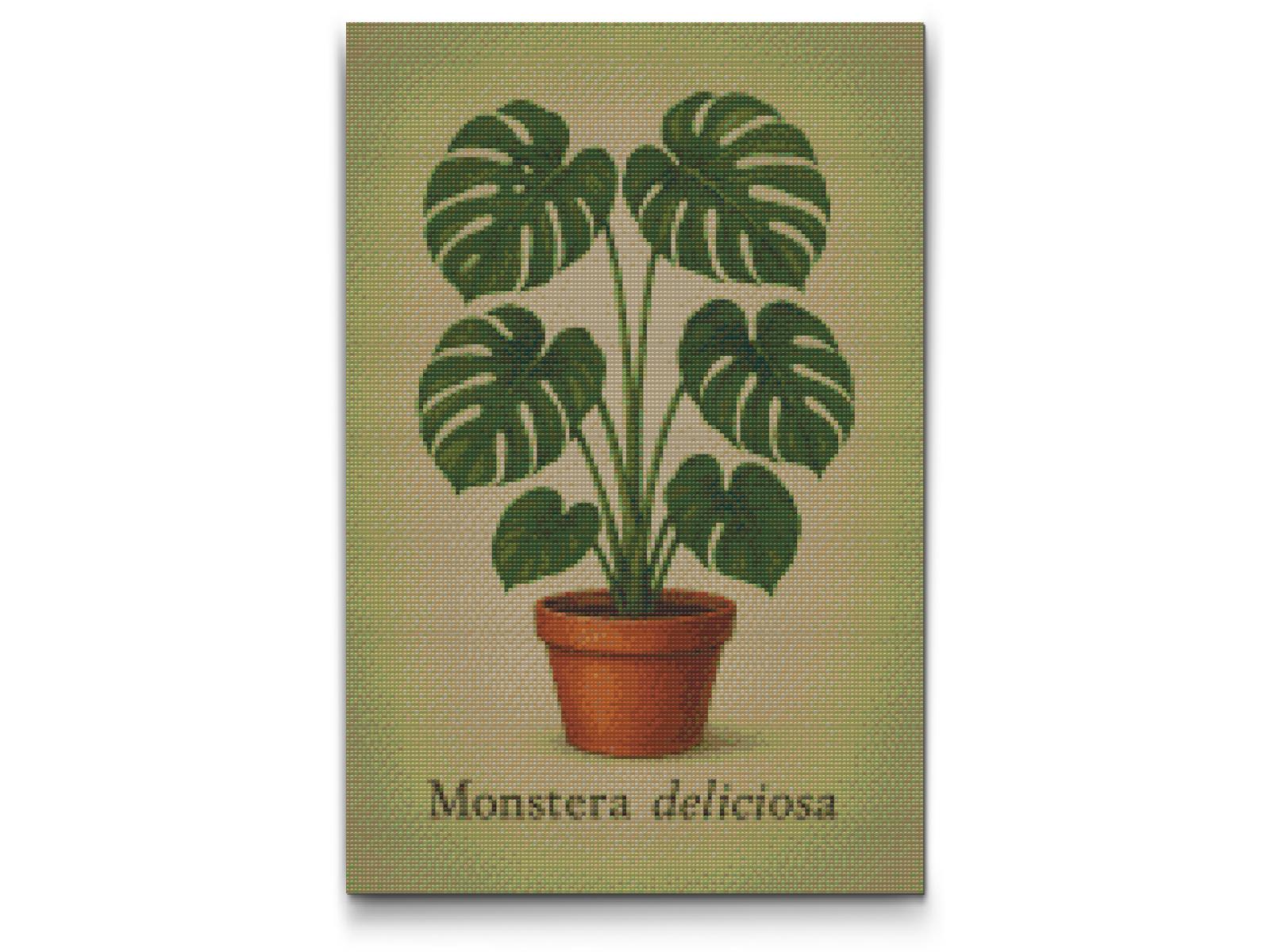 Diamond Paint - Monstera deliciosa