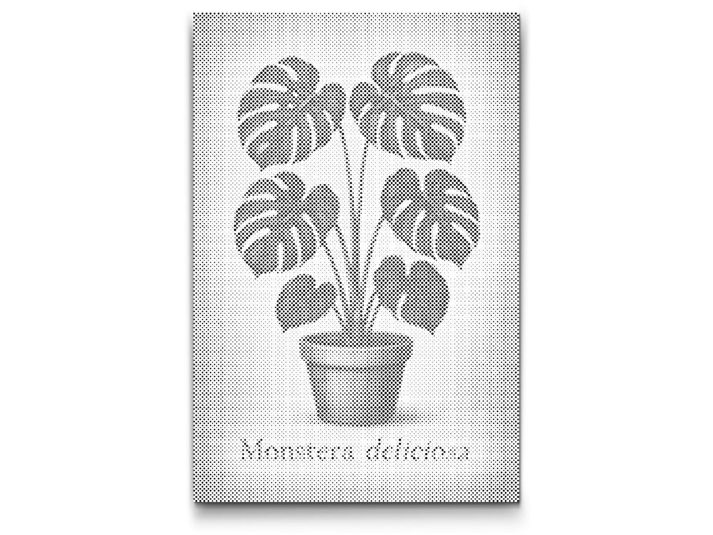 Dotting - Monstera deliciosa