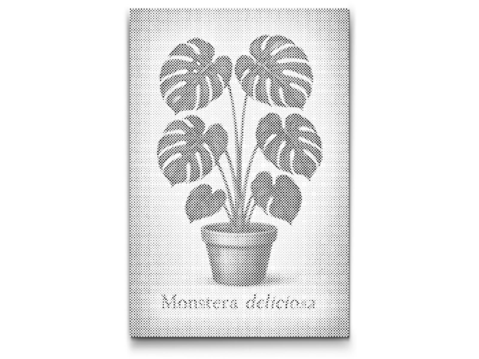 Dotting - Monstera deliciosa