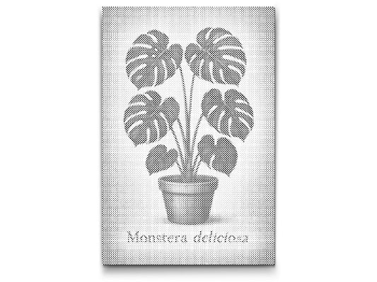 Dotting - Monstera deliciosa