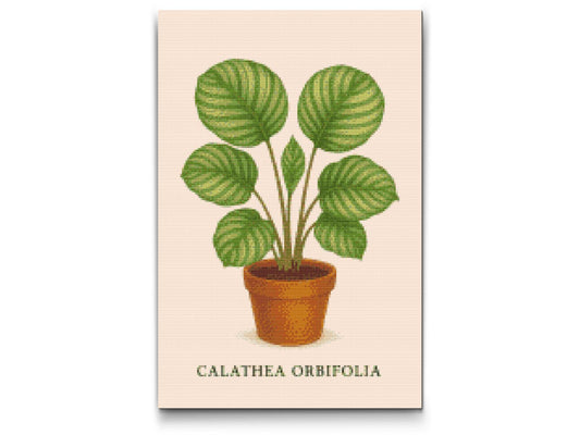 Diamond Paint - Calathea orbifolia