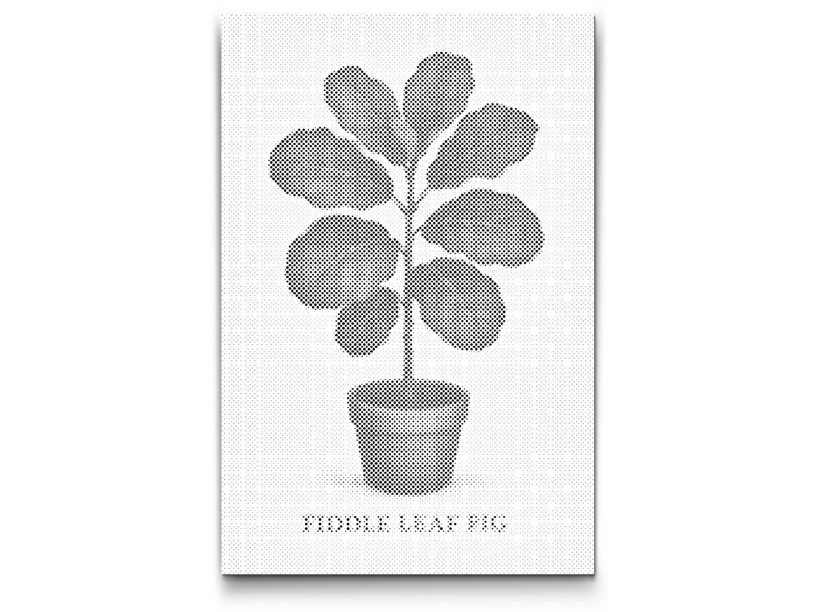 Dotting - Fiddle Leaf Fig
