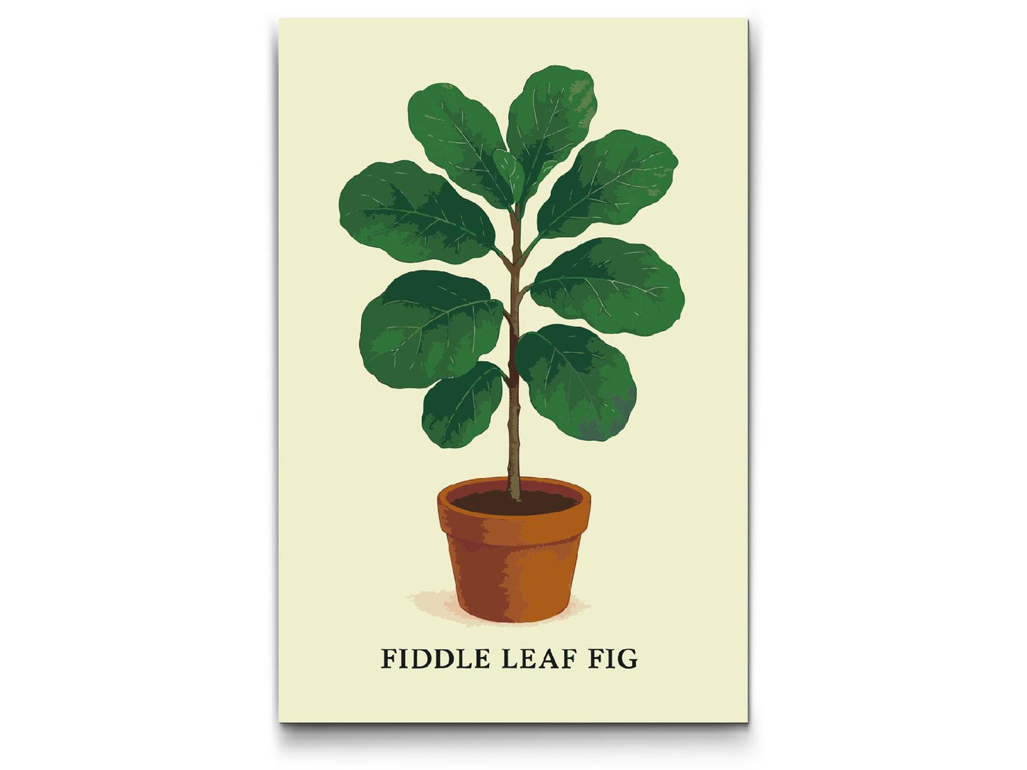 Paint by number - Fiddle Leaf Fig