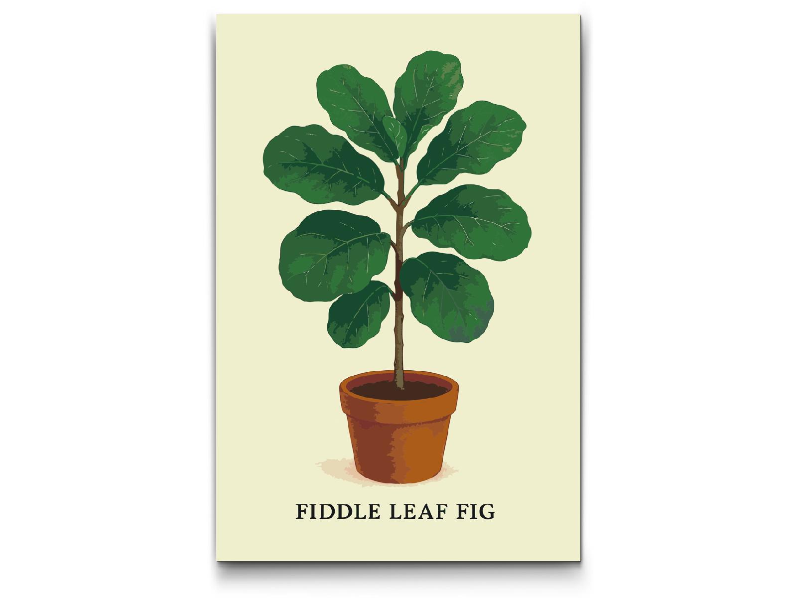 Paint by number - Fiddle Leaf Fig