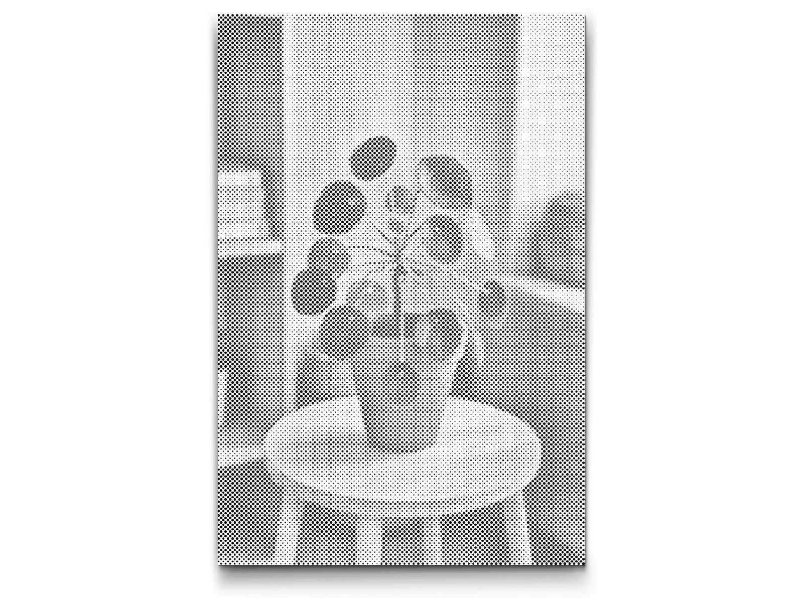 Dotting - Pilea peperomioides