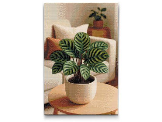 Diamond Paint - Calathea