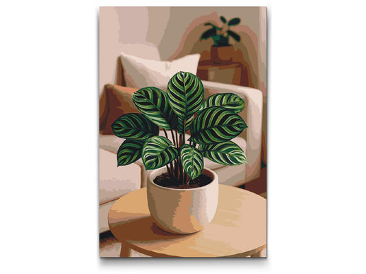 Paint by number - Calathea
