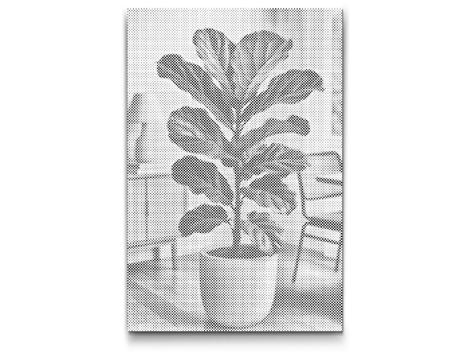 Dotting - Fiddle Leaf Fig