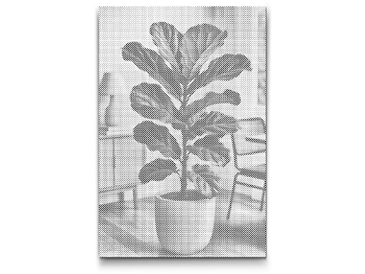 Dotting - Fiddle Leaf Fig