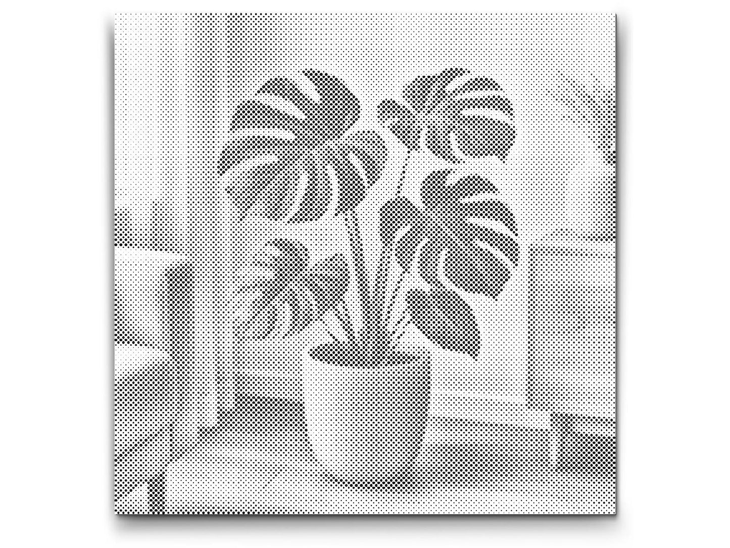 Dotting - Monstera deliciosa
