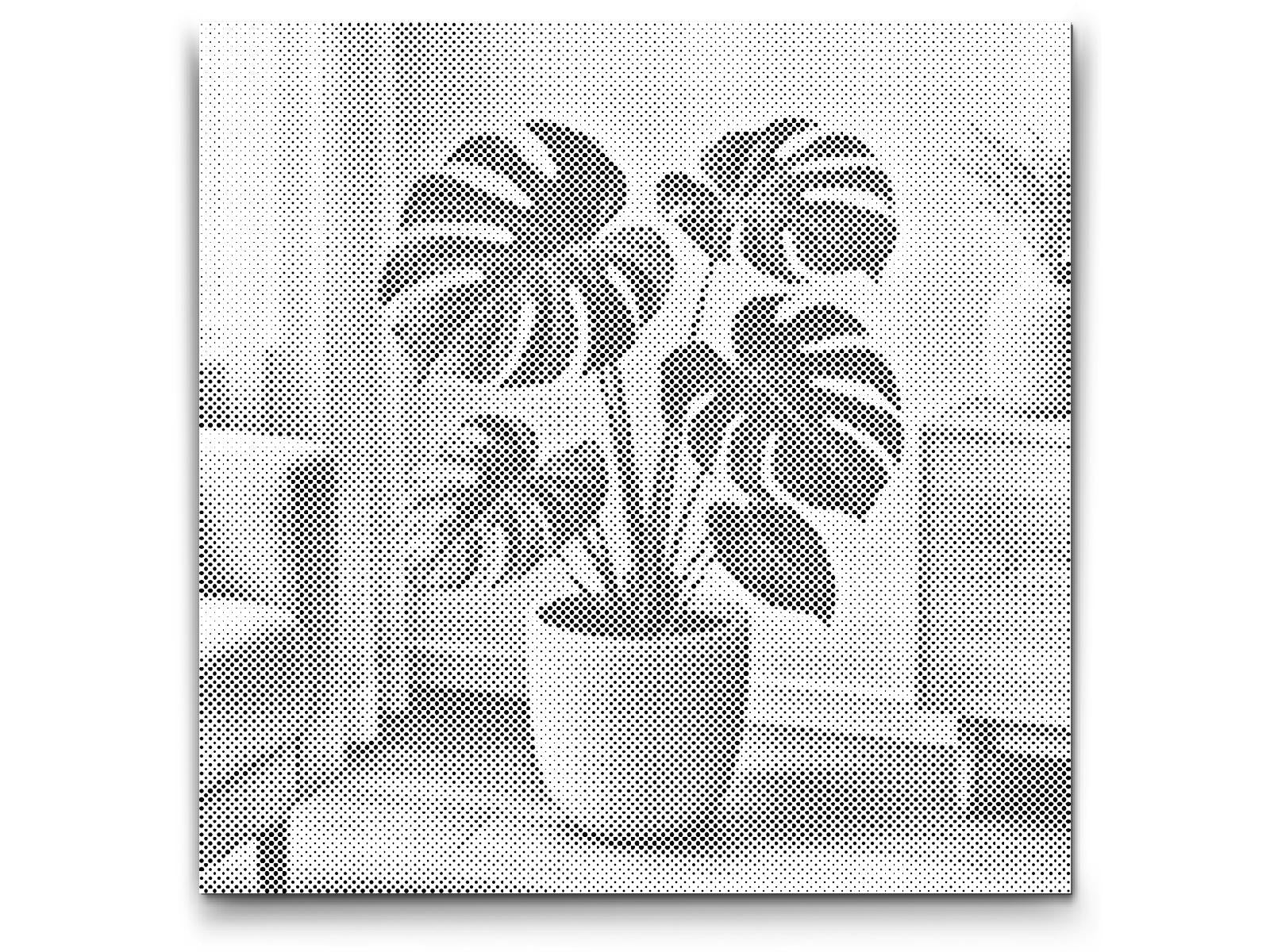 Dotting - Monstera deliciosa