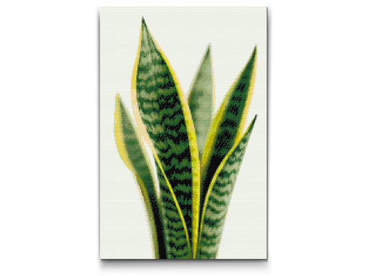 Diamond Paint - Sansevieria (slangeplante)