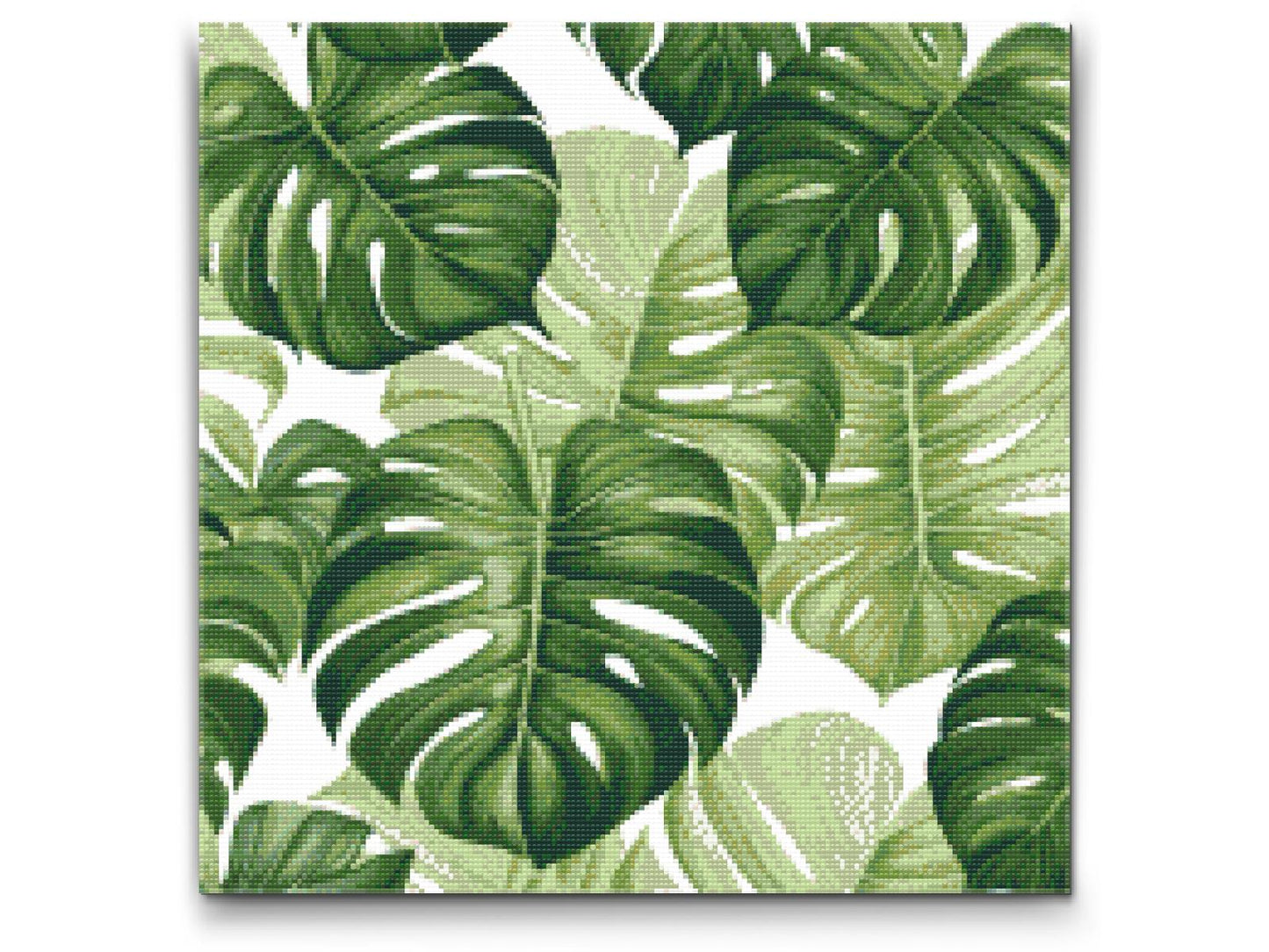 Diamond Paint - Monstera