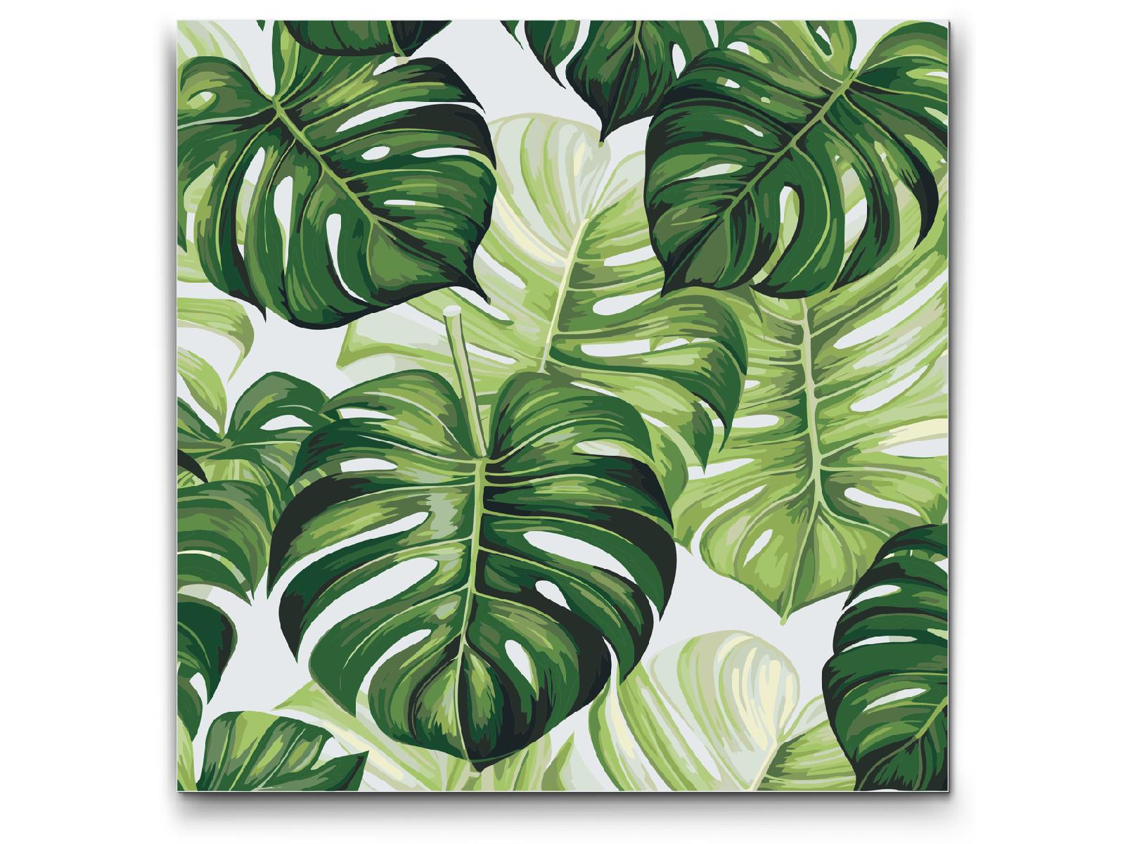 Paint by number - Monstera
