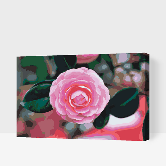 Paint by number - Pink Camellia