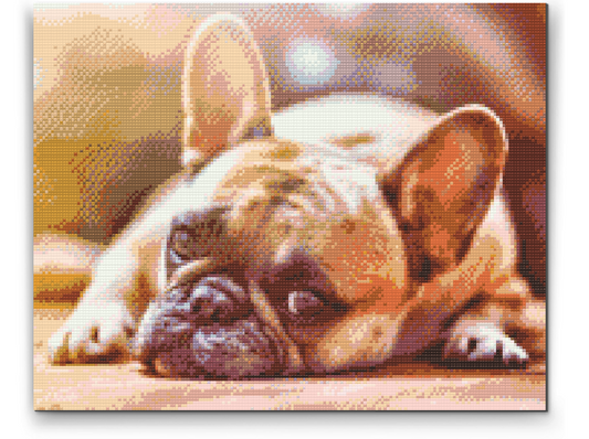 Diamond Paint - Bulldog