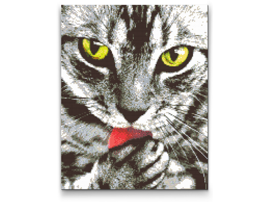 Diamond Paint - Sølvkat