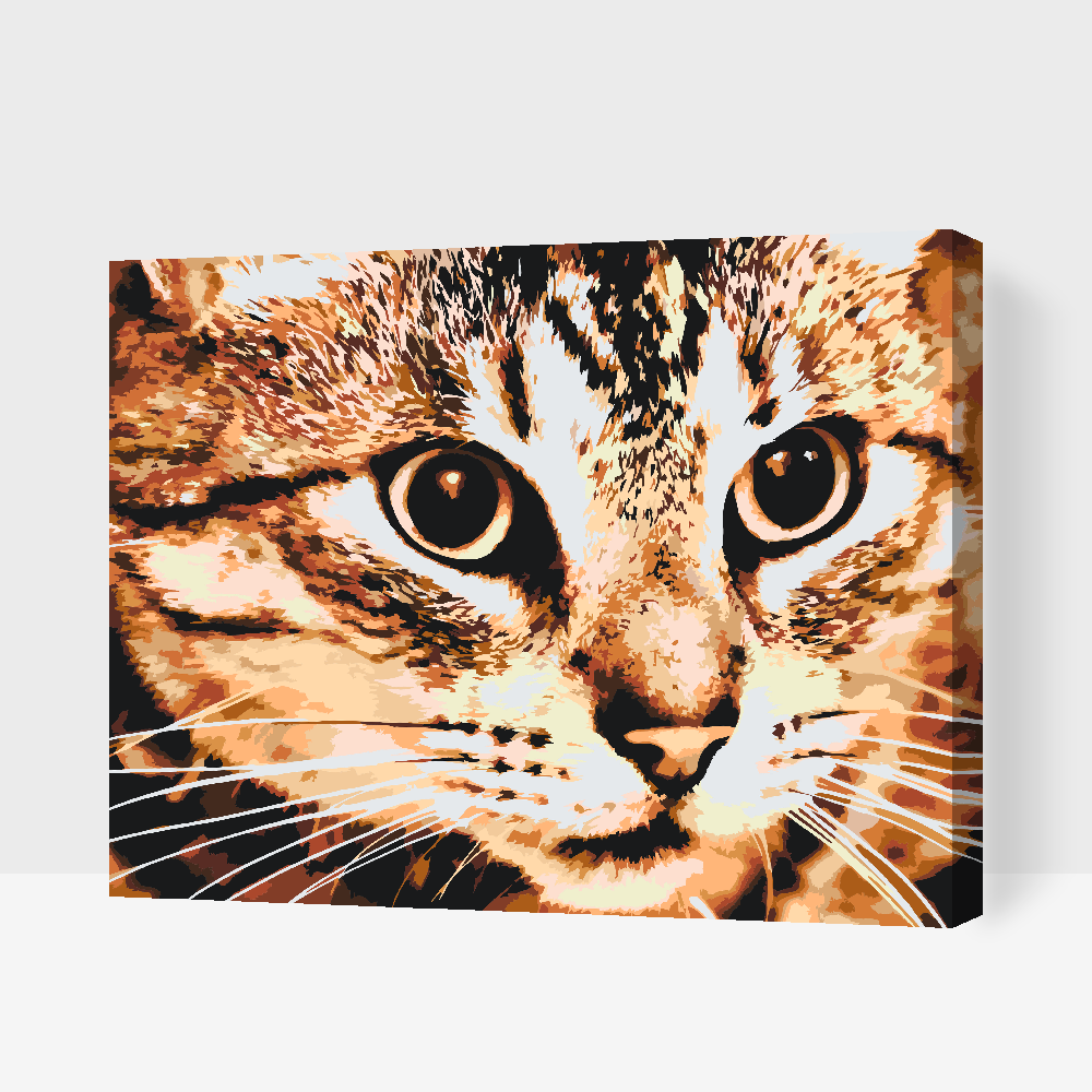 Paint by number - Tiger Cat