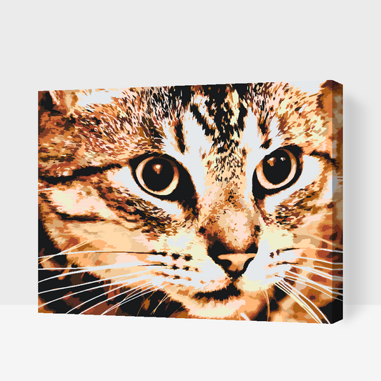 Paint by number - Tiger Cat
