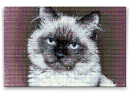 Diamond Paint - Portræt af Cat
