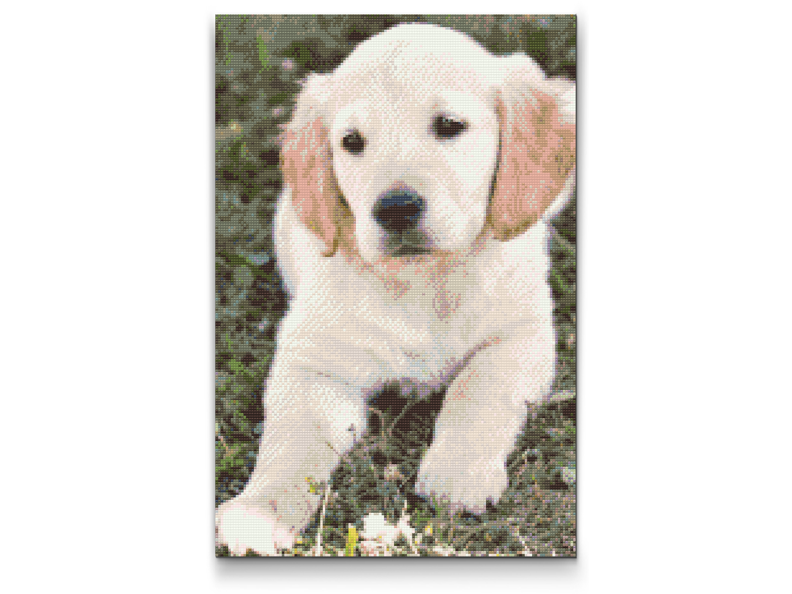 Diamond Paint - Labrador Puppy