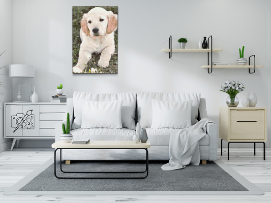 Diamond Paint - Labrador Puppy
