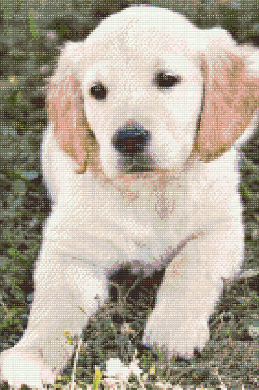 Diamond Paint - Labrador Puppy