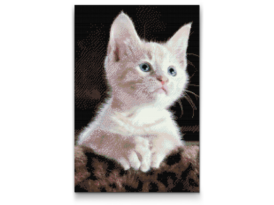 Diamond Paint - Hvid Kat