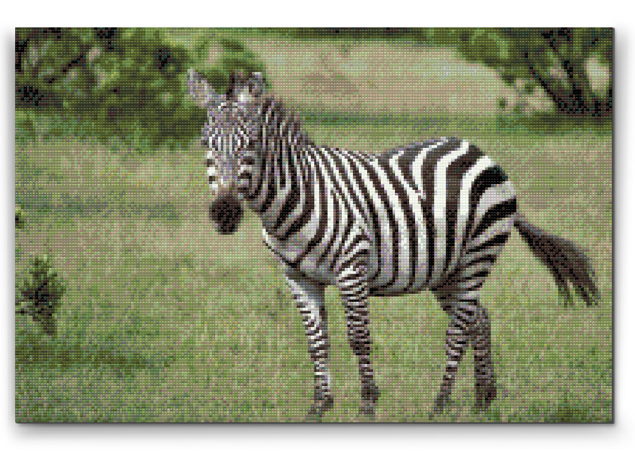 Diamond Paint - Zebra i naturen