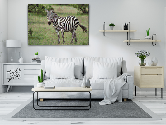 Diamond Paint - Zebra i naturen