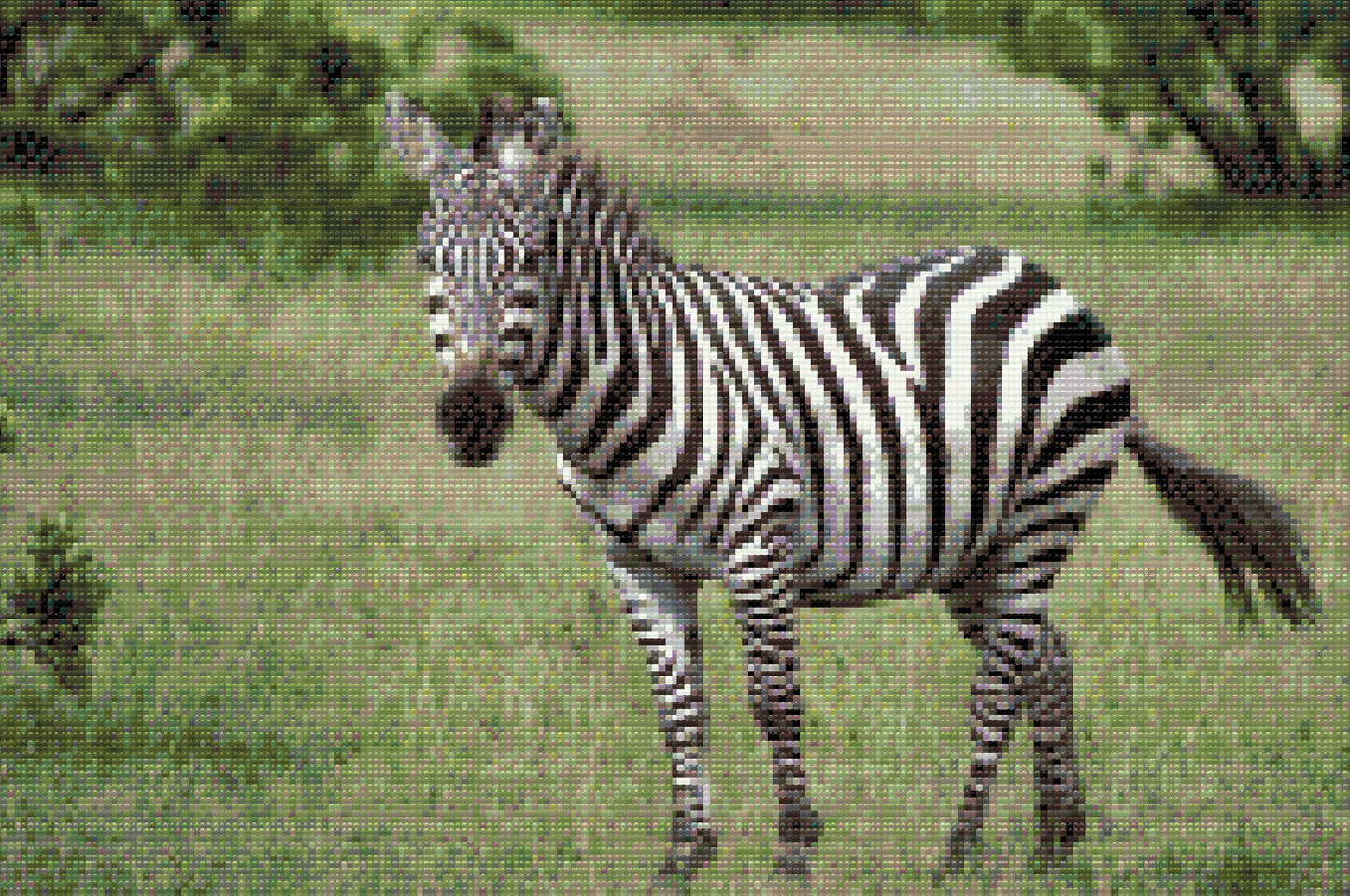 Diamond Paint - Zebra i naturen