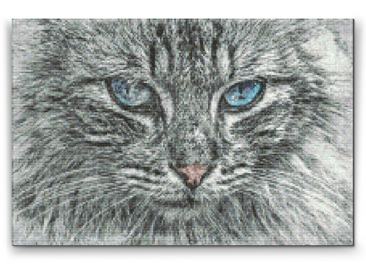 Diamond Paint - Katteportræt