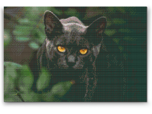 Diamond Paint - Sort Kat