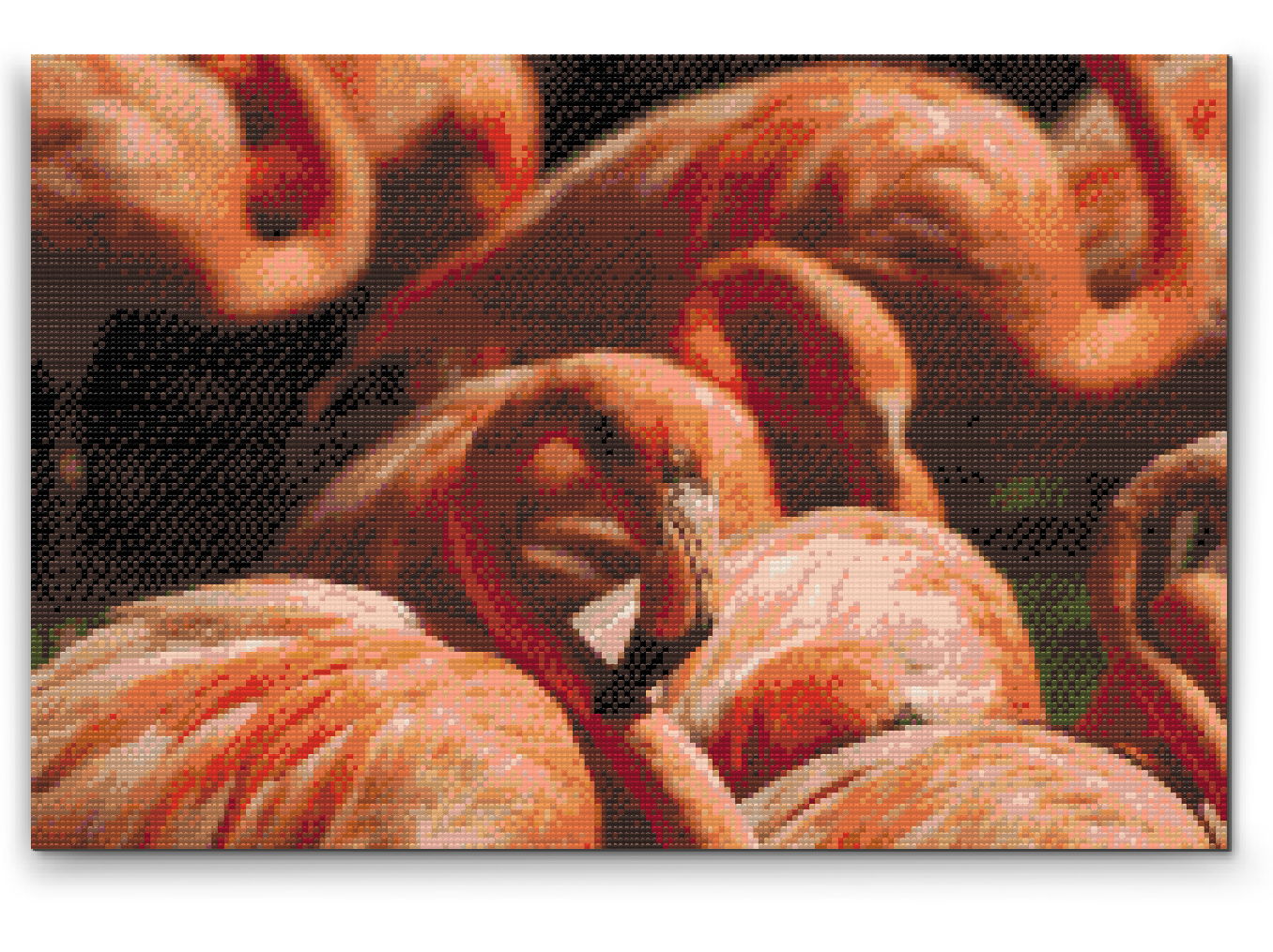Diamond Paint - Flamingos 2
