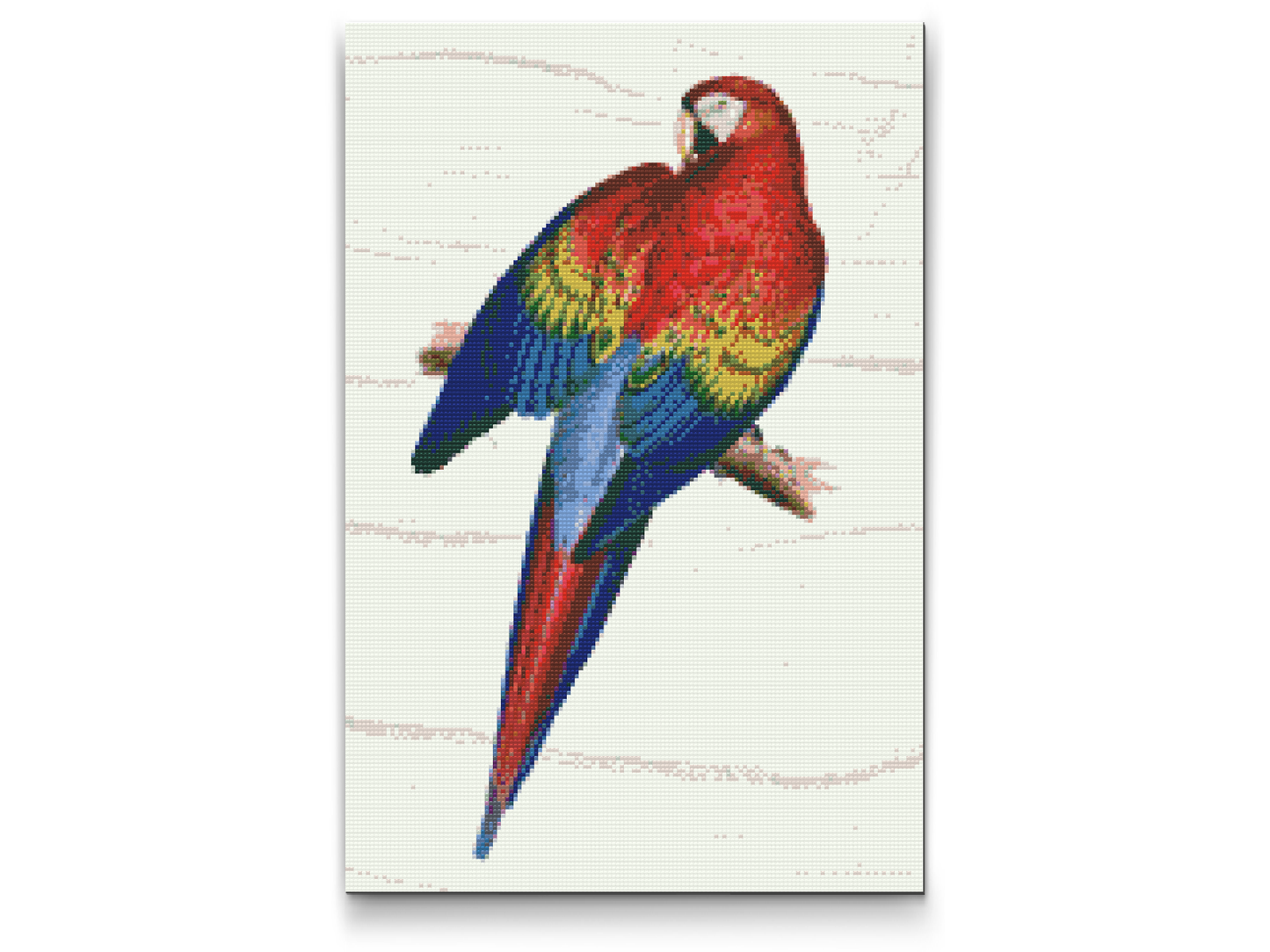 Diamond Paint - Vintage Parrot 2