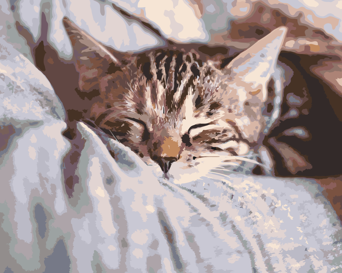 Paint by number - Sleeping Kitty