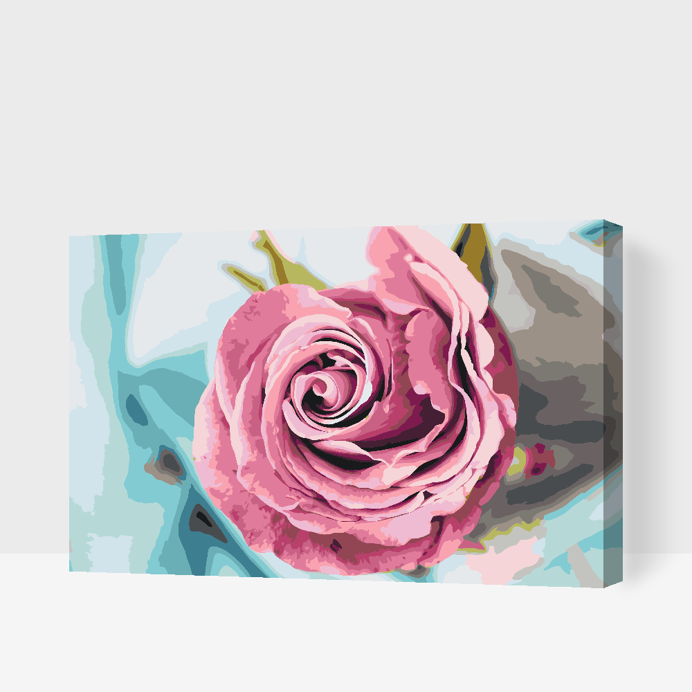 Paint by number - Head of Rose