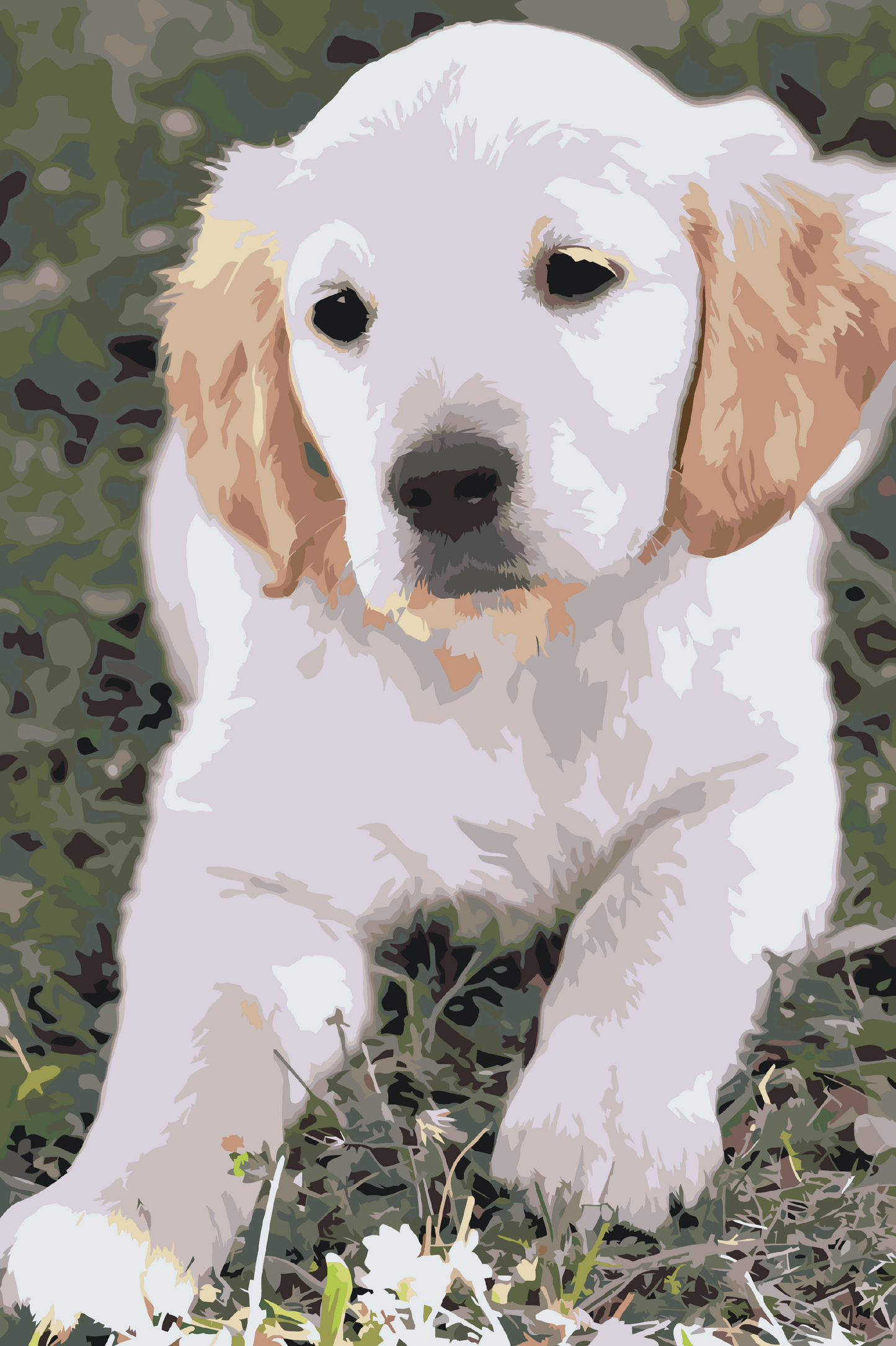 Paint by number - Labrador Puppy