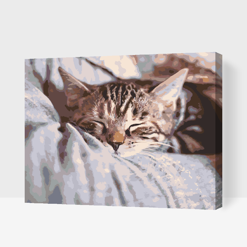 Paint by number - Sleeping Kitty
