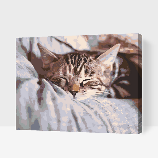 Paint by number - Sleeping Kitty