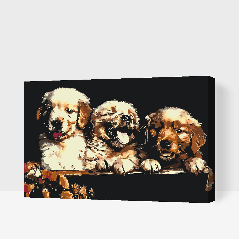 Paint by number - Retriver Puppies