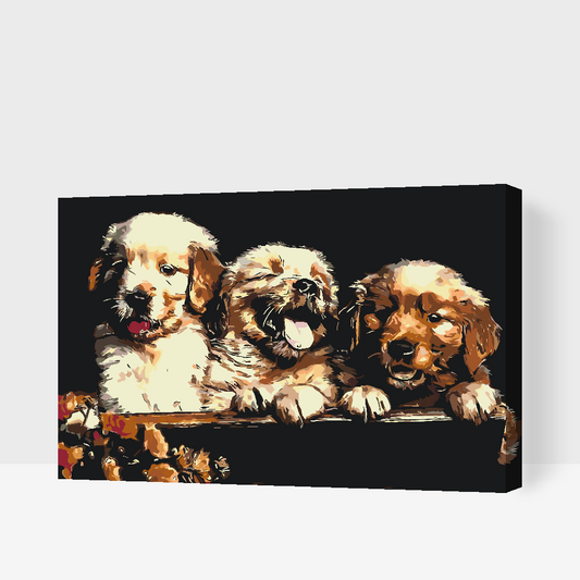 Paint by number - Retriver Puppies