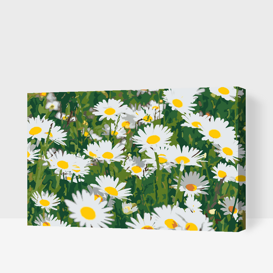Paint by number - Margueritter på engen