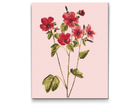 Diamond Paint - Vintage blomster