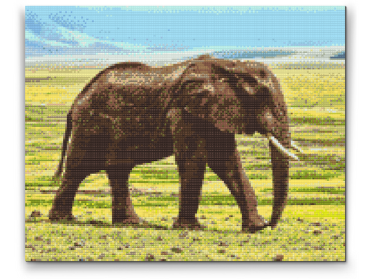 Diamond Paint - Safari-elefant