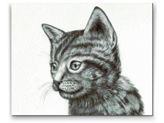 Diamond Paint - Sød sort-hvid killing