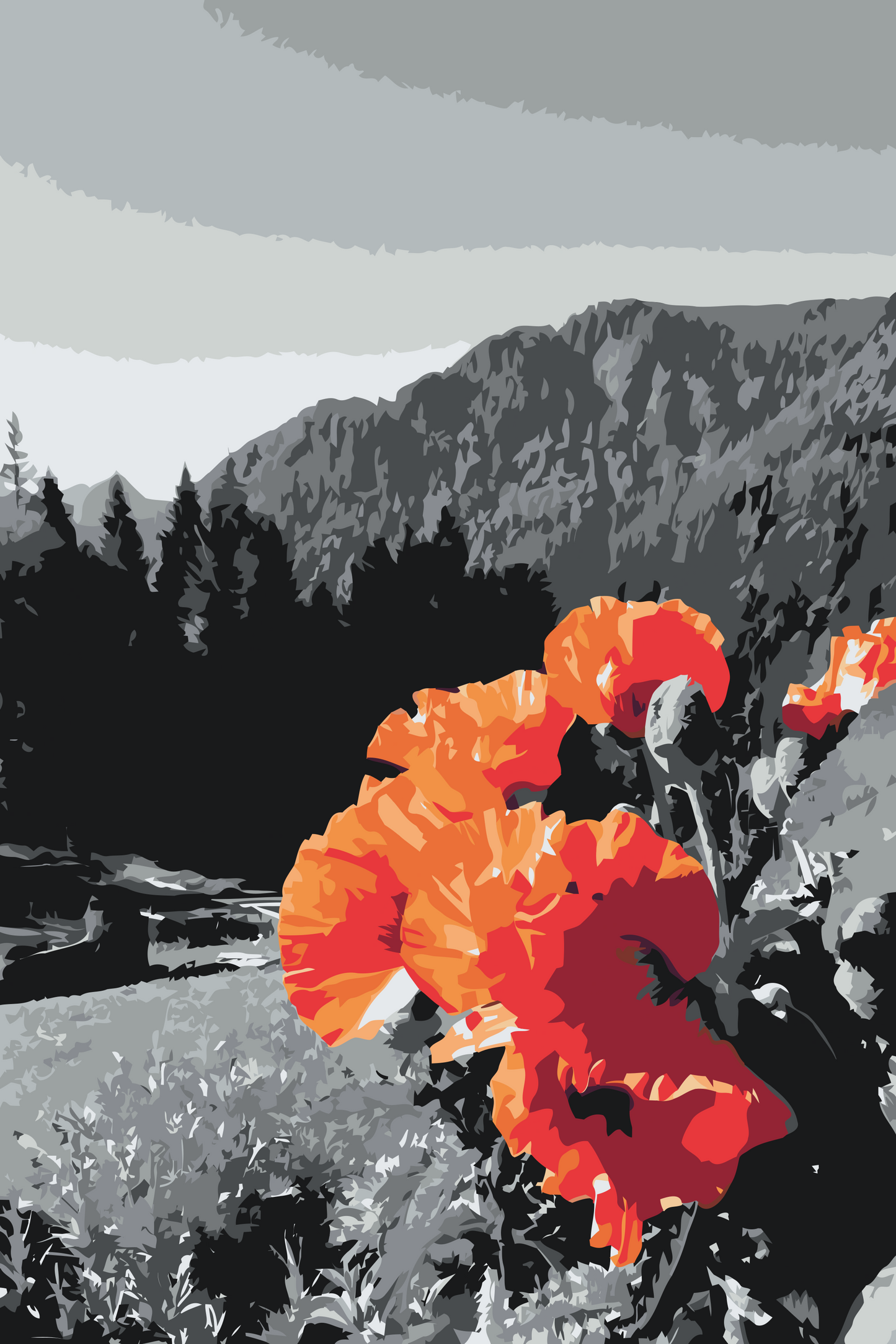 Paint by number - Valmue i bjergene